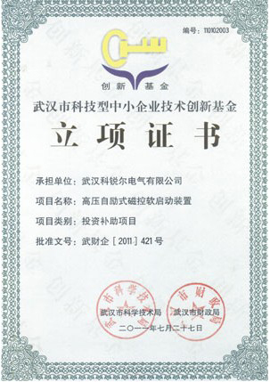 武汉市科技型中小企业技术创新基金立项证书